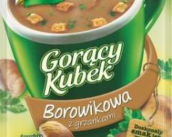 Knorr Gorący Kubek Krem z borow.15g/40